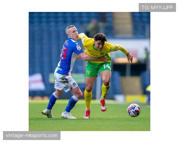 诺维奇金丝雀焕发新生，新赛季实力升级展现稳步提升