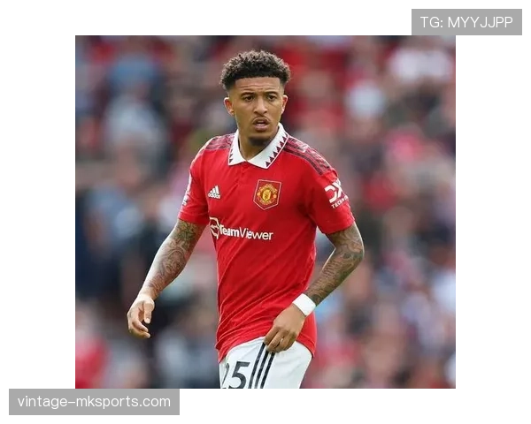 葡萄牙曼联旧将转会新东家，开启职业生涯新篇章